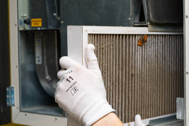 Best Affordable Duct Cleaning Services  in Oak Hill, WV