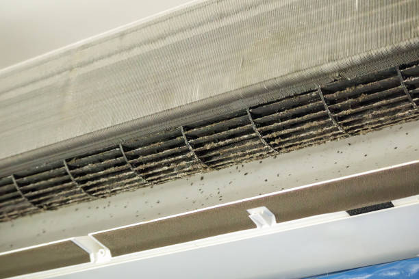 Best Professional Duct Cleaning Services  in Oak Hill, WV
